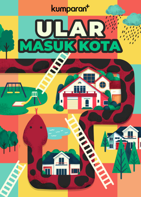 Waspada Ular Masuk Kota