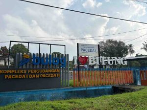 BULOG Cetak Rekor Sejarah, Stok Beras Nasional Tembus 5 Juta Ton